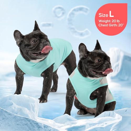 KYEESE 2Pack Dog Cooling Shirt, Breathable Dog Shirt for Small Dogs Boy, Sun Protection Reflective Pet Vest, Lightweight S...