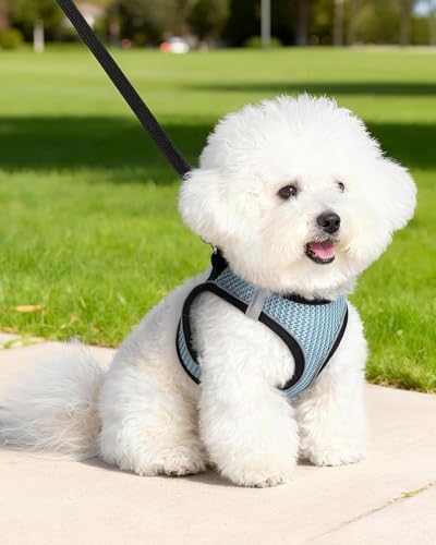 VernAlly Dog Harness Small Sized and Leash Set, Step in Soft Light Puppy Vest, Breathable Mesh Pet Harness Suitable for Pu...