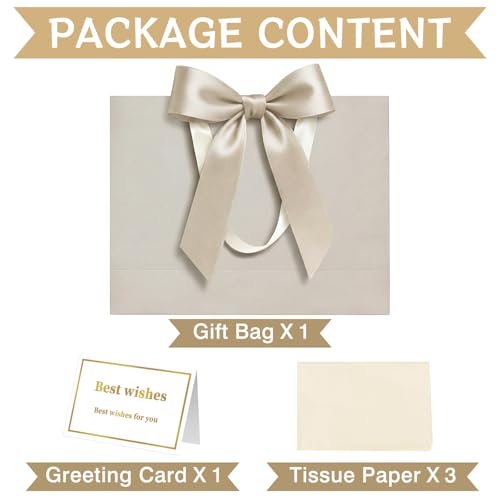 Laidans 13" Gift Bag with Handles and Bow Ribbon, Large Gift Bag with 3 Tissue Paper and 1 Card for Birthdays, Baby Shower...
