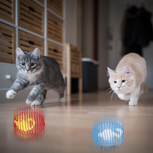 Jecery 5 Pcs Cat Spring Balls Toys Stretchable Rolling Balls Colorful Playful Coils Interactive Action Toy Caged Rats for ...