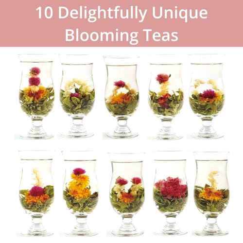 Blooming Tea Flowers Gift Set, 10 Unique Varieties Flowering Tea Balls, Individual Packing Handmade Blooming Balls for Ann...