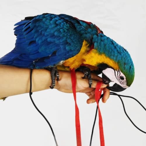Adjustable Bird Harness with 78.7 Inch Leash, Outdoor Flying Training Rope Kit for Bird Parrots, Parrot Flying Rope Straps...