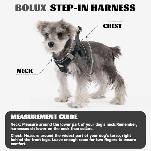 Bolux Dog Harness Small Sized and Leash Set, Step in Soft Light Puppy Vest, Breathable Mesh Pet Harness, Reflective for Sa...