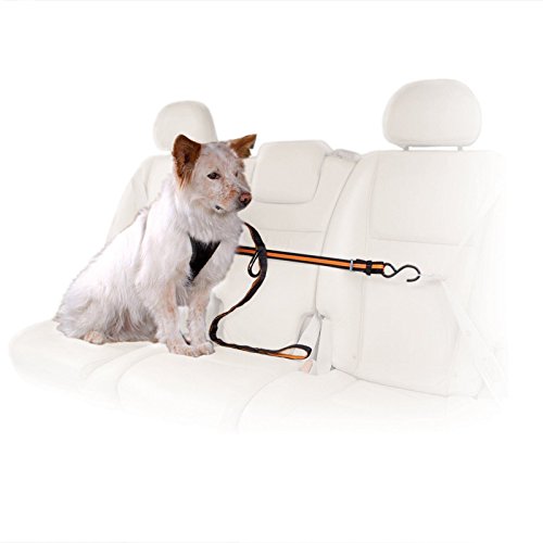 Kurgo Auto Zip Line - Backseat Zipline Harness for Car Travel - Dog Car Accessory for Safe Rides - Adjustable Pet Tether -...