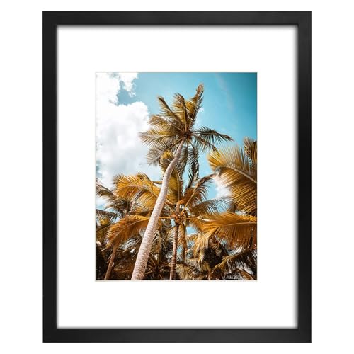 Frametory, 16x20 Black Picture Frame - Display Pictures 11x14 Photo with Mat - High Definition Real Glass- Wide Molding (1...