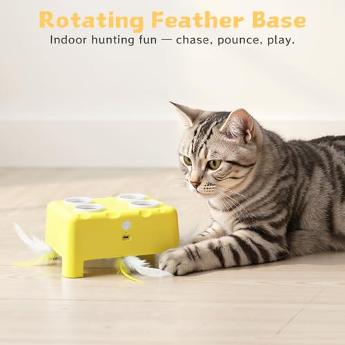 PETSWEET Cheese Box Interactive Cat Toy for Indoor Cats, 3-in-1 Whack a Mole Feather Toy, 3 Modes Rechargeable Auto Cat To...