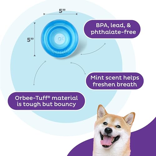 Outward Hound by Planet Dog Snoop Dog Toy – Treat‑Dispenser Puzzle Ball, Interactive Slow Feeder, Medium to Large Dogs, Bo...