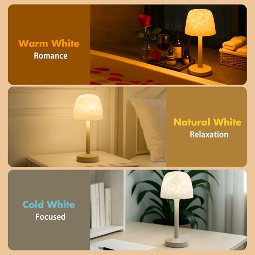 Waterproof Shower Lamp for Inside Shower, Rechargeable Bathroom Lamp with Remote & Touch Control, Cordless Shower Light wi...