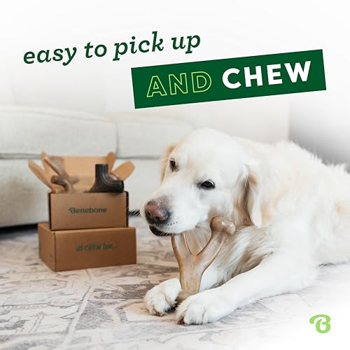 Benebone Medium 4-Pack Dog Toys for Aggressive Chewers – Durable Dog Bones, Made in USA – Dog Toys for Medium Dogs Under 6...