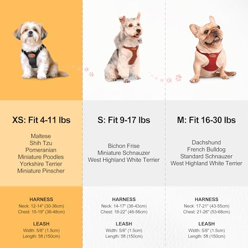 Beirui ‌Stylish PU Leather Dog Harness‌ and Leash Set for Small Dogs, ‌Adjustable Step in Puppy Harness with Breathable Me...
