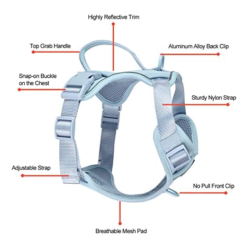 Petmolico Dog Harness for Small Dogs, Cute Harness Vest with Two Leash Clips and Soft Handle, Reflective Easy Walk Puppy V...