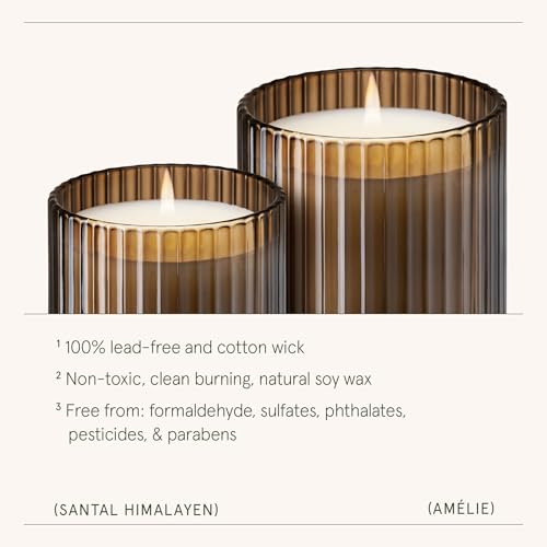 LA JOLIE MUSE Santal Himalayen Candle, Amber Scented Candles Gifts for Women, Natural Soy Candle, Candles for Home Scente...