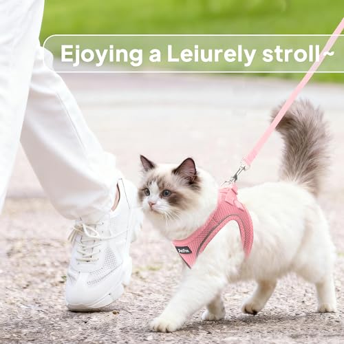 PetiFine Extra Small Step in Dog Harness and Leash Set, Cat Harness and Leash Escape Proof, All Weather Mesh Reflective, S...
