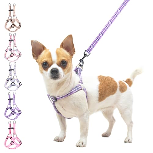 BEAUTYZOO No Pull Dog Harness and Leash Set - Adjustable Step-in Puppy Harness for Small Medium Large Dogs, Escape Proof S...