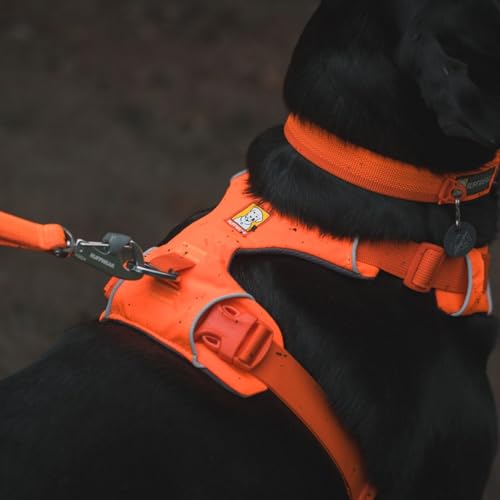Ruffwear, Front Range Dog Harness, Reflective Soft Padded Everyday Harness with Dual Leash Clips, Adjustable and Lightweig...