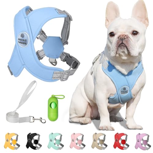 Patas Lague Dog Harness with Leash Set Adjustable Soft Padded Step-in Dog Vest No Choke No Pull Reflective for Small Mediu...