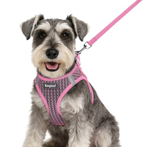 Eagloo Small Dog Harness and Leash Set, Step in Puppy Vest with Breathable Soft Mesh, Walking Reflective Pet Harness for S...