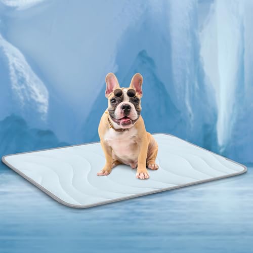 Cozyide Dog Cooling Mat, Large Cooling Mat for Dogs, Reversible Pad for Pet, 36" L x 23" W,Blue