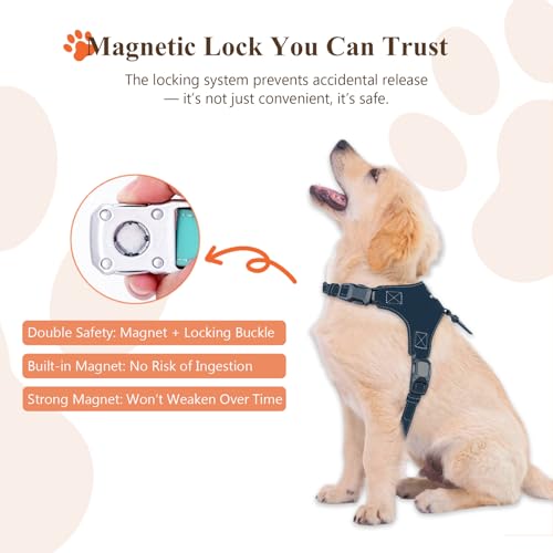 Tokcam Magnetic Puppy Harness and Leash with Quick Release Buckle, Easy On & Off Faux Leather Dog Harness and Leash for Sm...