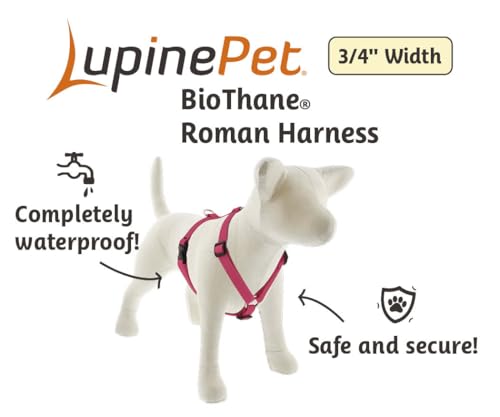 LupinePet Waterproof Splash Adjustable Dog Harness, Jet Black, 3/4-inch Wide, Girth adjusts 14-24", Made with BioThane