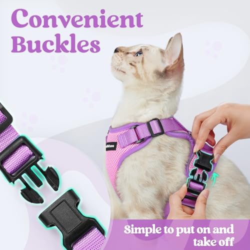 rabbitgoo Cat Harness and Leash Set, Escape Proof Soft Adjustable Vest Harnesses for Outdoor Walking, Easy Control Breatha...