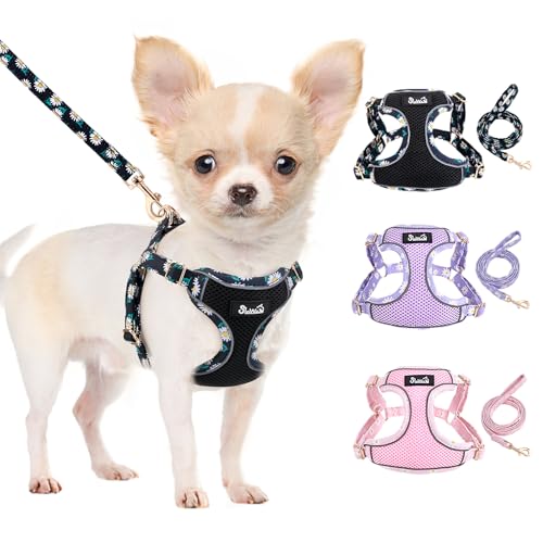 SlowTon Small Dog Harness - No Pull Dog Harness and Leash Set, Soft Mesh Lightweight Puppy Vest Harnesses, Adjustable Pet ...