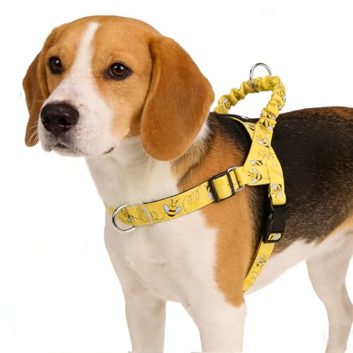 PUPTECK No Pull Dog Harness Small Sized Dog, Adjustable Reflective Pet Vest Harness with Bungee Handle, Escape Proof No Ch...