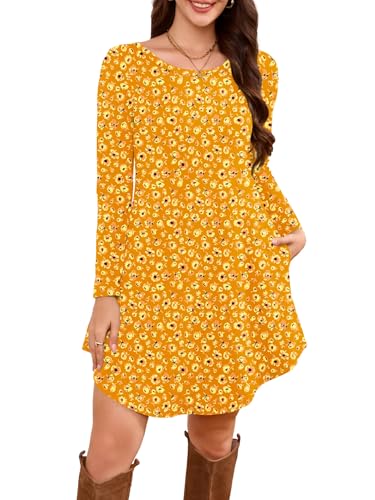 DEARCASE Women's Long Sleeve T Shirt Dress Crewneck Knee Length Loose Casual Flowy Swing Tunic Dresses with Pockets