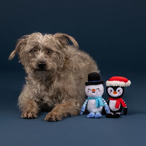 Fringe Studio Pet Toy, Ultimate CHILLERS Plush Dog Toy 2 Piece Set, Penguin & Snowman, PetShop Collection (312066)