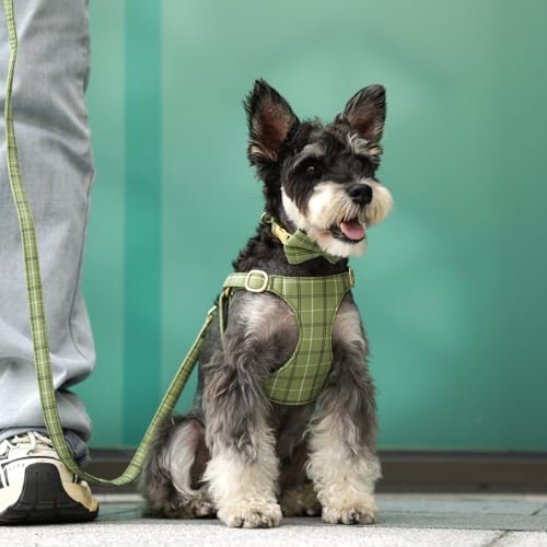 Beirui Cute Extra Small Dog Harness Collar and Leash Set with Bowtie, Soft Adjustable Plaid Puppy Harness for Small Sized ...