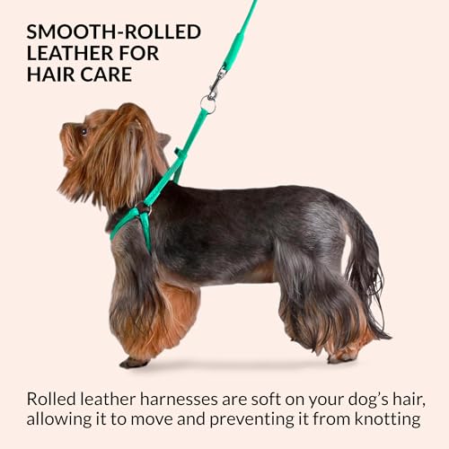 CollarDirect Rolled Leather Dog Harness Small Puppy Step-in Leash Set for Walking Pink Red White Blue Green Black Purple B...