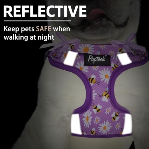 PUPTECK Dog Harness and Leash Set Small Sized, Step in No Pull Adjustable Puppy Cat Harness Reflective Pet Vest