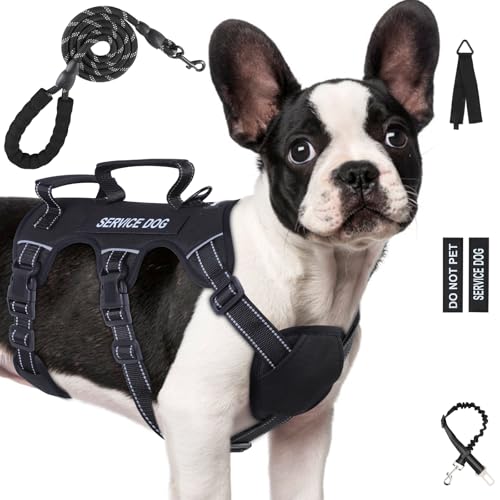 Escape Proof Dog Harness for Large Medium Sized Dogs Six Point Adjustable, Service Dog Vest Harness and Leash Set, No Pull...