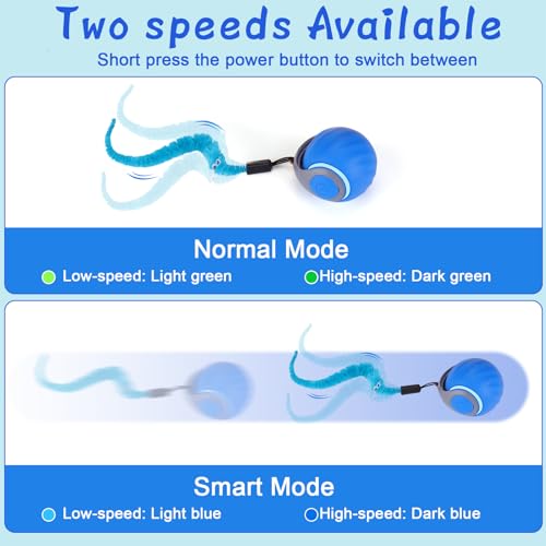 BABORUI Interactive Cat Toy Ball - Automatic Interactive Cat Toys for Indoor Cats with 3 Tails, 2 Speeds Rechargeable Cat ...