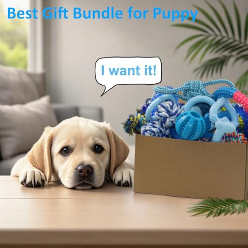 Beiker 20 Pack Puppy Chew Toys - Blue Dog Teething Toys for Puppies, Puppy Teething Rings and Ropes, Blue Rubber Toy Bundl...
