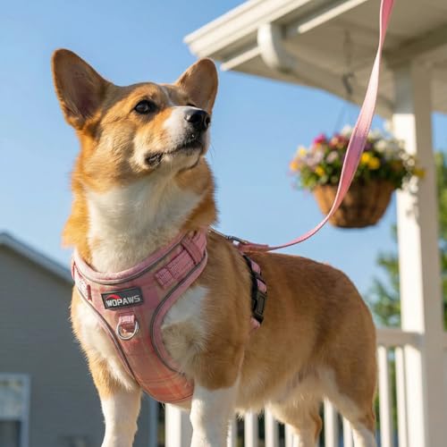 WDPAWS No Pull Dog Harness and Leash Set-Reflective Plaid Design, Adjustable & Comfortable with Front D Ring for Small Med...