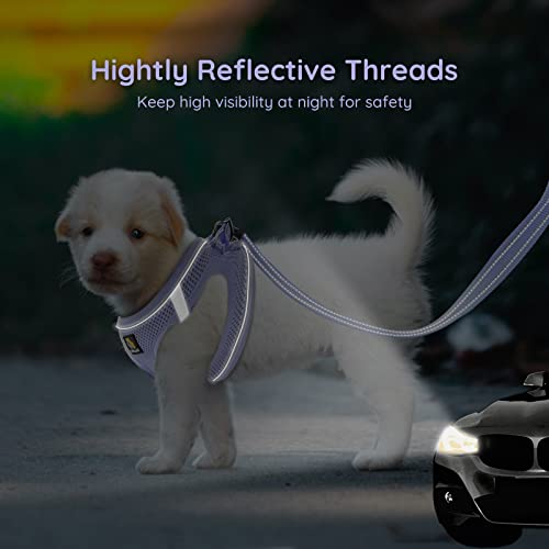BELLA & PAL Step in Vest Harness for Small and Medium Dogs, No Pull Small Dog Harness with Leash Set, Comfortable Air Mesh...