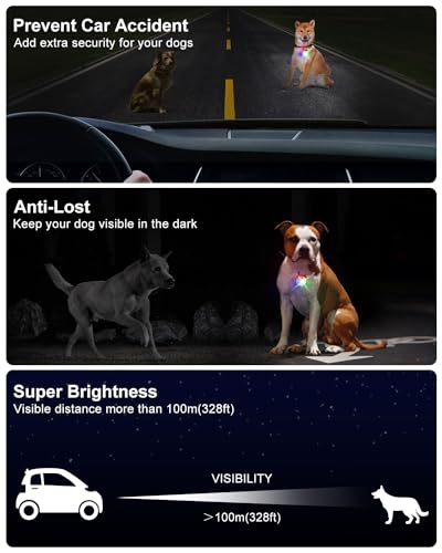 2 Pack Dog Collar Light, 4 Modes Clip On Dog Lights for Night Walking, Glow in the Dark LED Pet Collar Charm, Rechargeable...