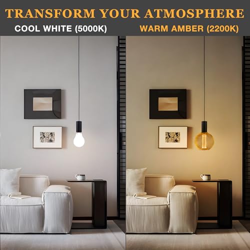 Harwez Decorative LED Light Bulb, Golden Metal Mesh Cover, E26 Medium Base, LED Lights for Bedroom Floor Lamp, Ceiling Lig...