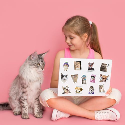 Yqskt 200 PCS Cat and Dog Meme Stickers Pack, Funny Meme Pet Stickers for Water Bottles Car Hard Hat Laptop, Waterproof Vi...