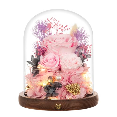 Large Preserved Flowers with Card&Box-Flowers for Delivery Prime,Eternal Rose with Lights,Roses in Glass Dome,Romantic Gif...
