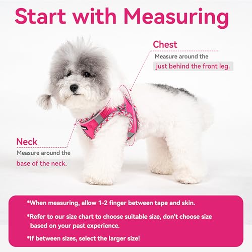 Petank Dog Harness for Small Medium Dogs No Pull, Puppy Harness and Leash Set for Walking, Running, Training, Small Dog Ha...