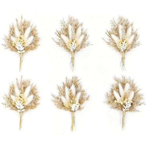 Mini Dried Flower Bouquet Set of 6, Boho Wedding Decor, Boutonniere for Men,Table Centerpieces, Dry Pampas Grass,Birthday ...