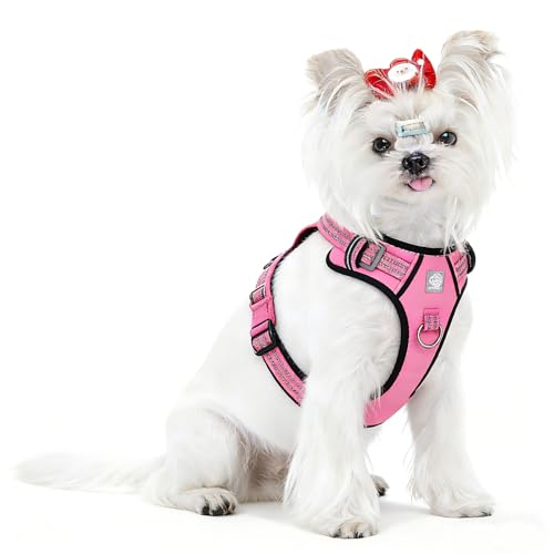 Vest Harness for Dogs - Reflective Adjustable Padding with Easy-On Design & Leash Attachment(S, Hot Pink)