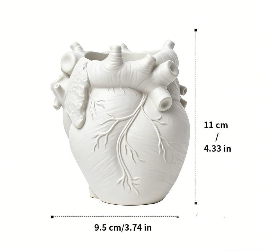 HUZHIBING Heart-Shaped Pen Holder, 4.3" x 3.74" Human Heart Organ Shape Pen Holder, Gothic Makeup Brush Holder, 3D Realist...