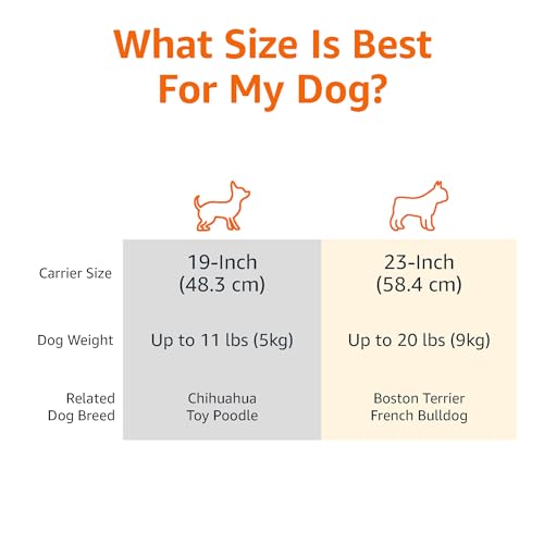 Amazon Basics Sturdy Portable 2-Door Top-Load Hard-Sided Pet Travel Carrier with Secure Ventilation, Handle, Front & Top E...
