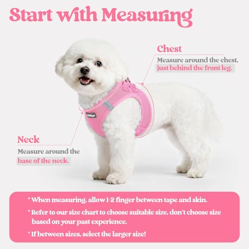 rabbitgoo Dog Harness Small Sized and Leash Set, Step in Soft Light Puppy Vest, Breathable Mesh Pet Harness, Reflective fo...