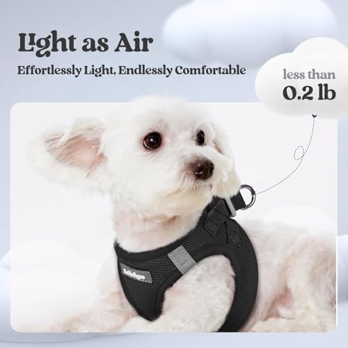 rabbitgoo Dog Harness Small Sized and Leash Set, Step in Soft Light Puppy Vest, Breathable Mesh Pet Harness, Reflective fo...