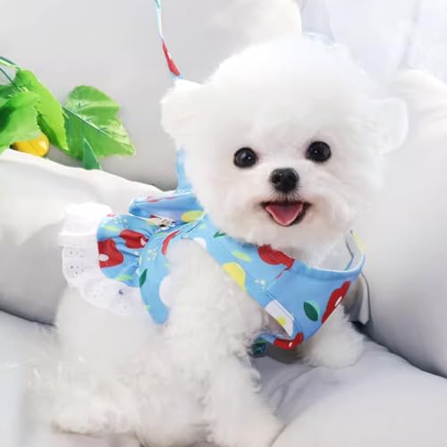 Anelekor Floral Dog Harness and Leash Set - Bow Knot Girl Puppy Princess Skirt with D-Ring Mesh Summer Pet Clothes for Cat...