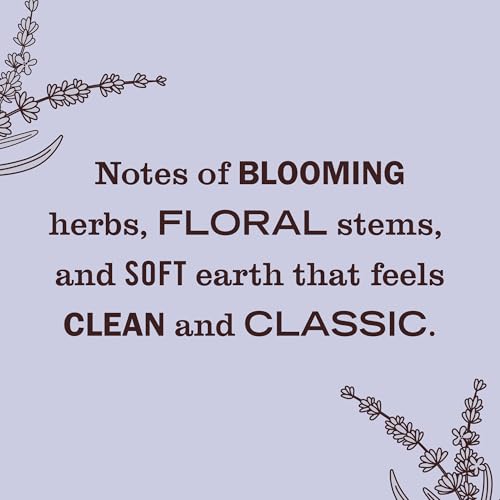 MRS. MEYER'S CLEAN DAY Premium Scented Oil Diffuser Kit, Lavender, 1 warmer and .67 fl oz refill